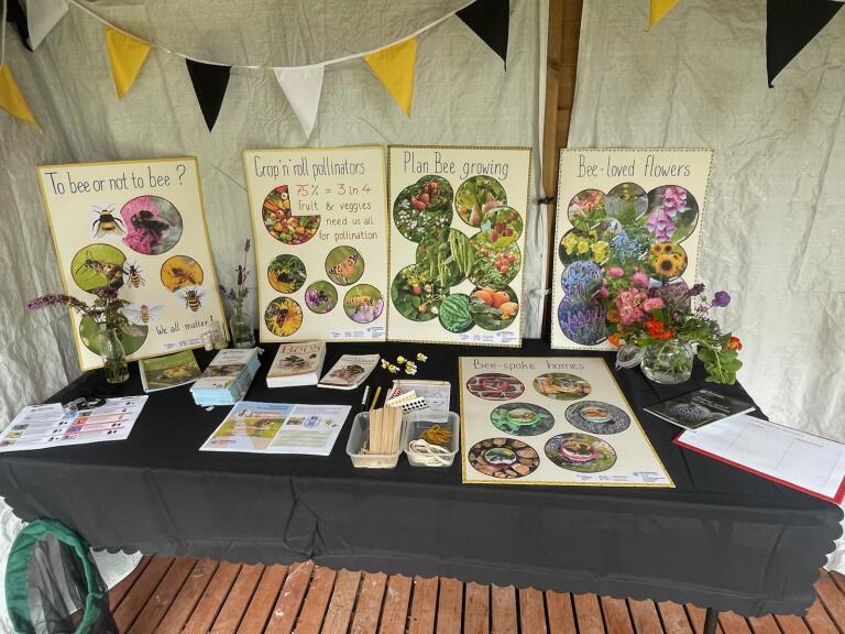 Photo of a bumblebee themed stand at a community event. A2 boards have been displayed with colourful photos of bee habitats, fruit and veg, flowers, and different insect species. On the table there are craft activities and information leaflets, and in the background there is yellow, white and black bunting.