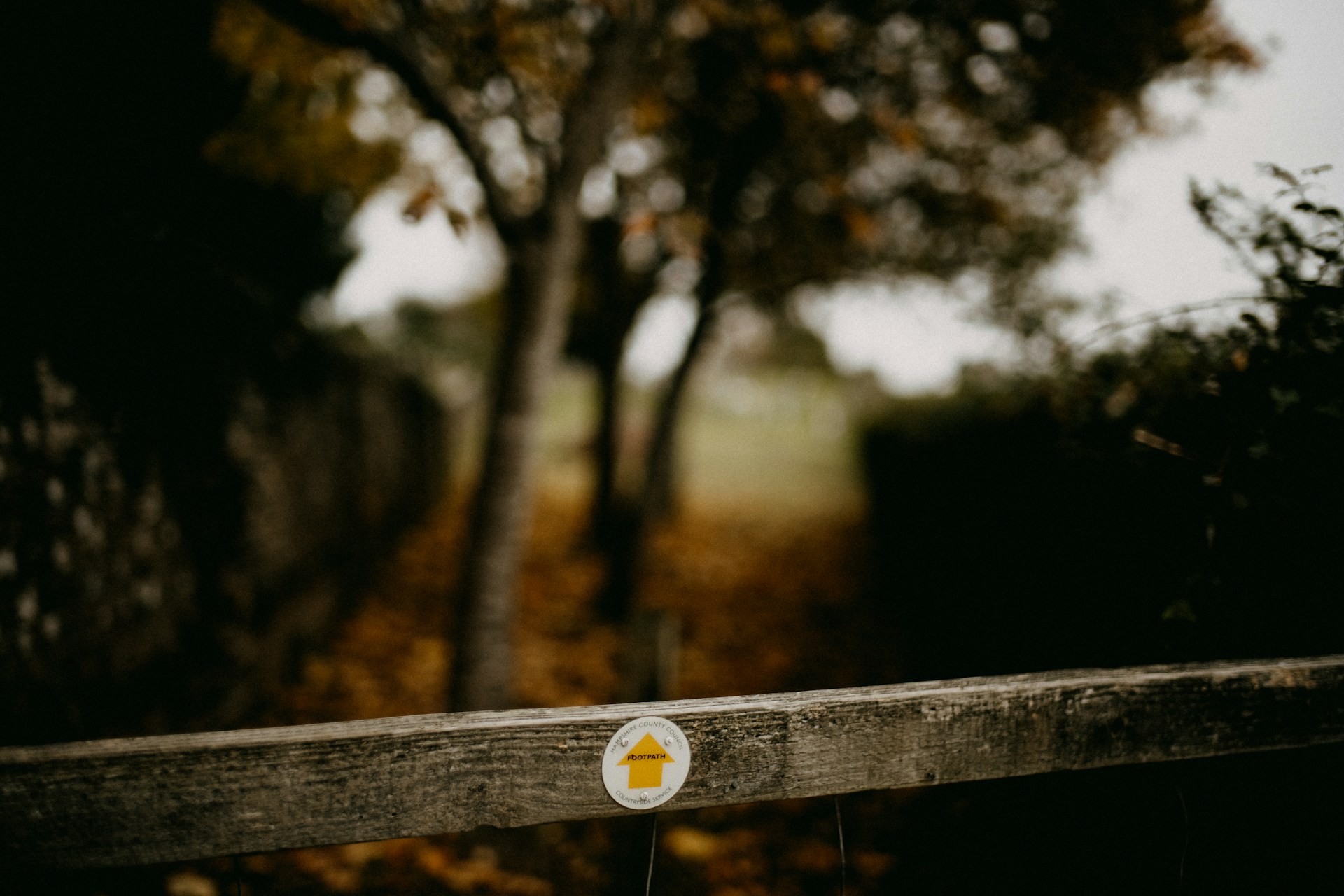 A public footpath badge on a wooden fence, in some woodland.