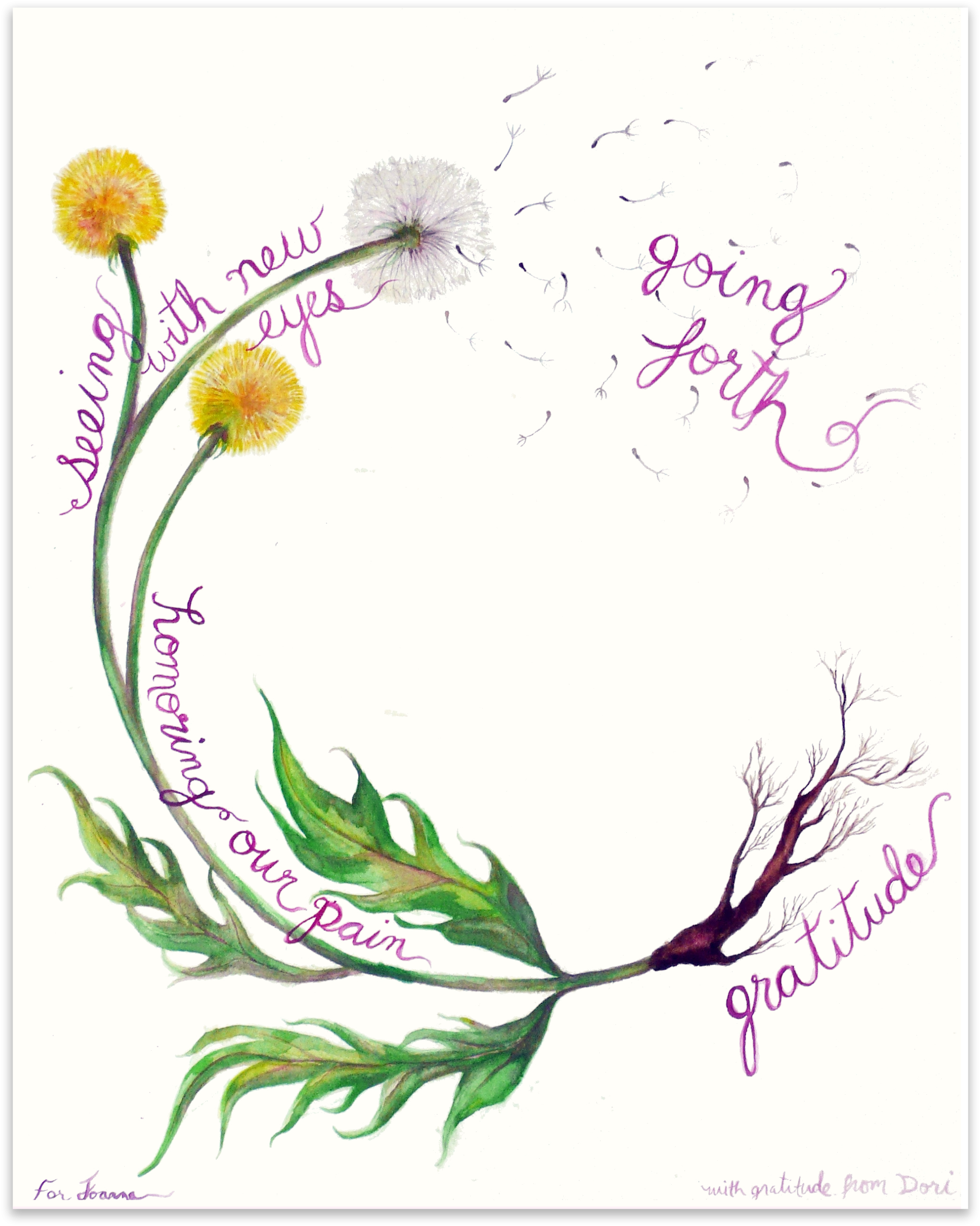 The Work That Reconnects model, represented as a dandelion curving in on itself like the start of a spiral. The root is "gratitude", the stem is "knowing our pain", the flowers and clocks are "seeing with new eyes", and the seeds blowing away are "going forth".
