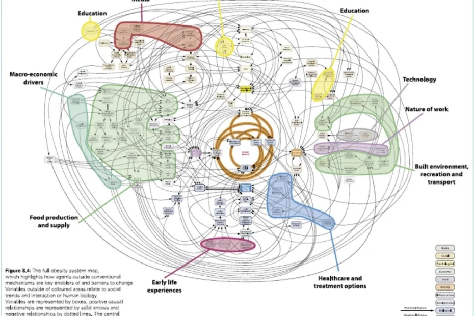 An extremey complex visualisation of the whole system of factors that affect obesity. It's a mass of labels and connecting lines and coloured areas.
