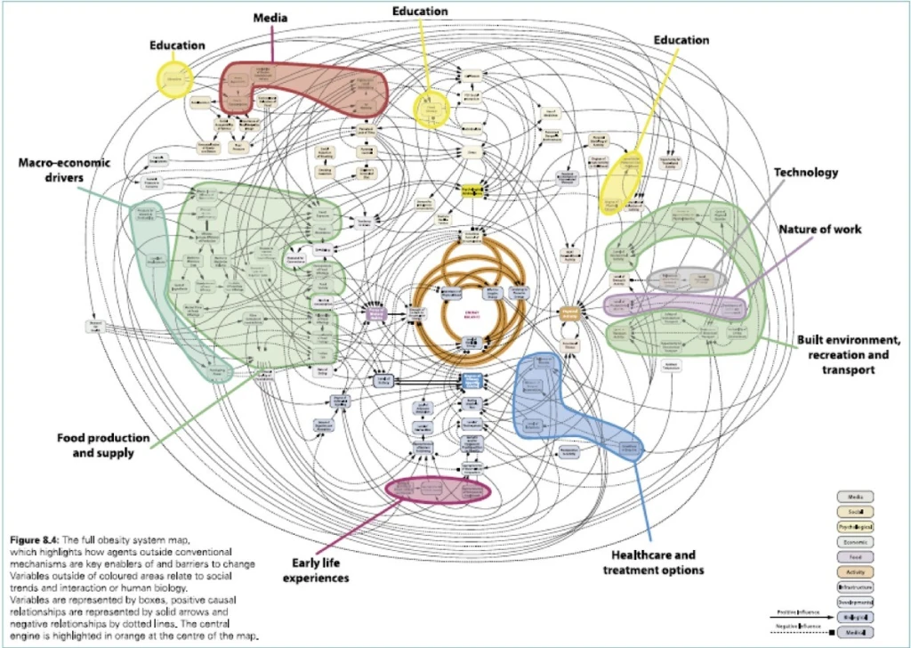 An extremey complex visualisation of the whole system of factors that affect obesity. It's a mass of labels and connecting lines and coloured areas.