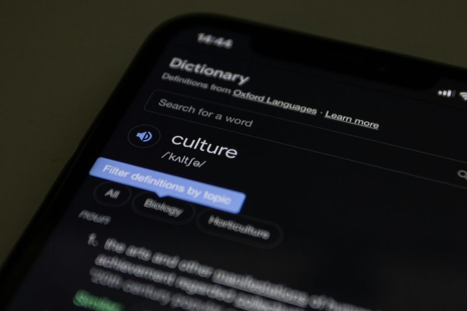 A photo of a phone screen, with a dictionary app open at the word "culture"