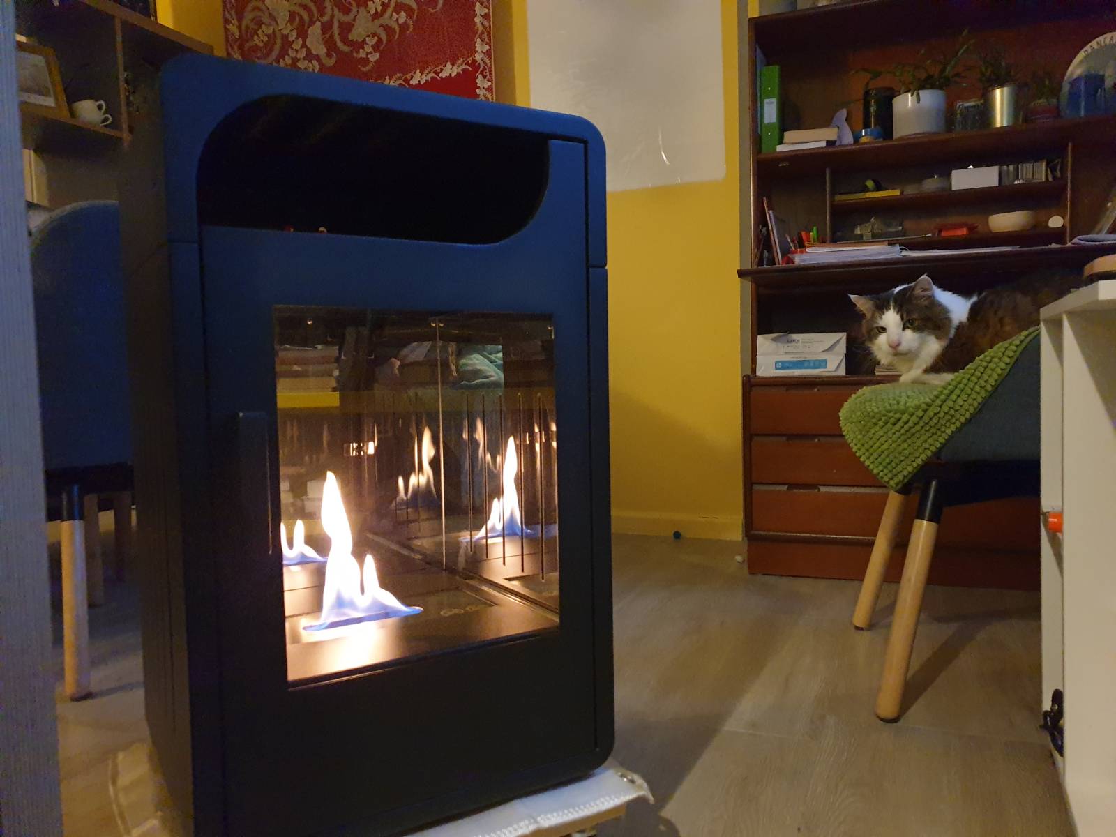 A black standalone stove is lit up with yellow flame inside. Behind it, the cat sits on his chair, and there is a bureau with papers, pens and plants.