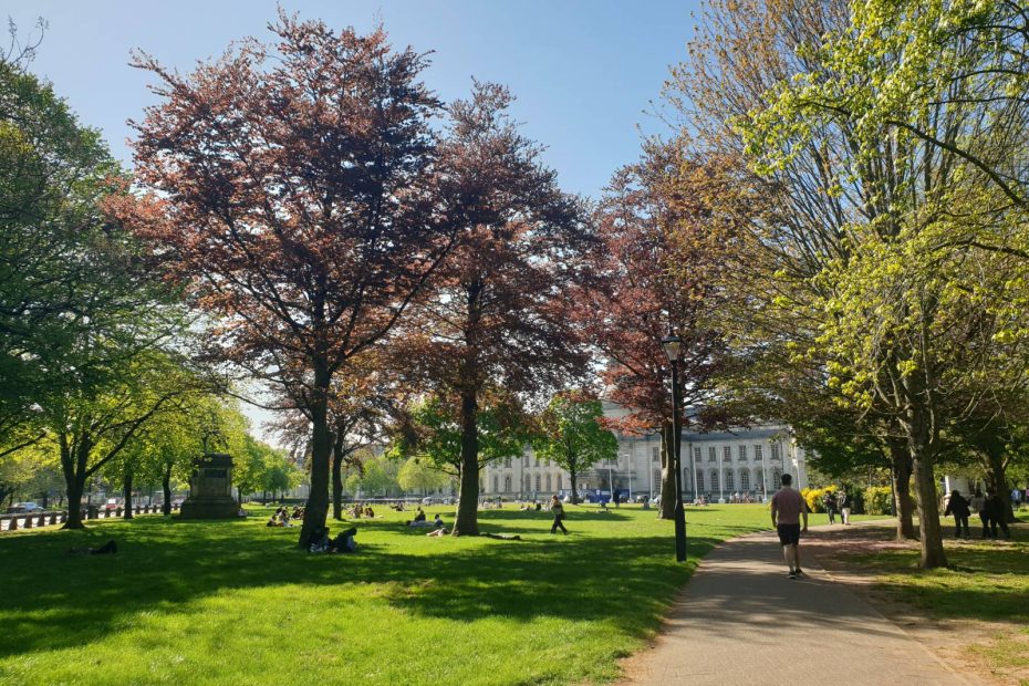 The park outside the City Hall and the Museum in Cardiff, in bright spring sunshine - the trees are in bloom and young leaf, and people are dotted around on the grass enjoying the weather.