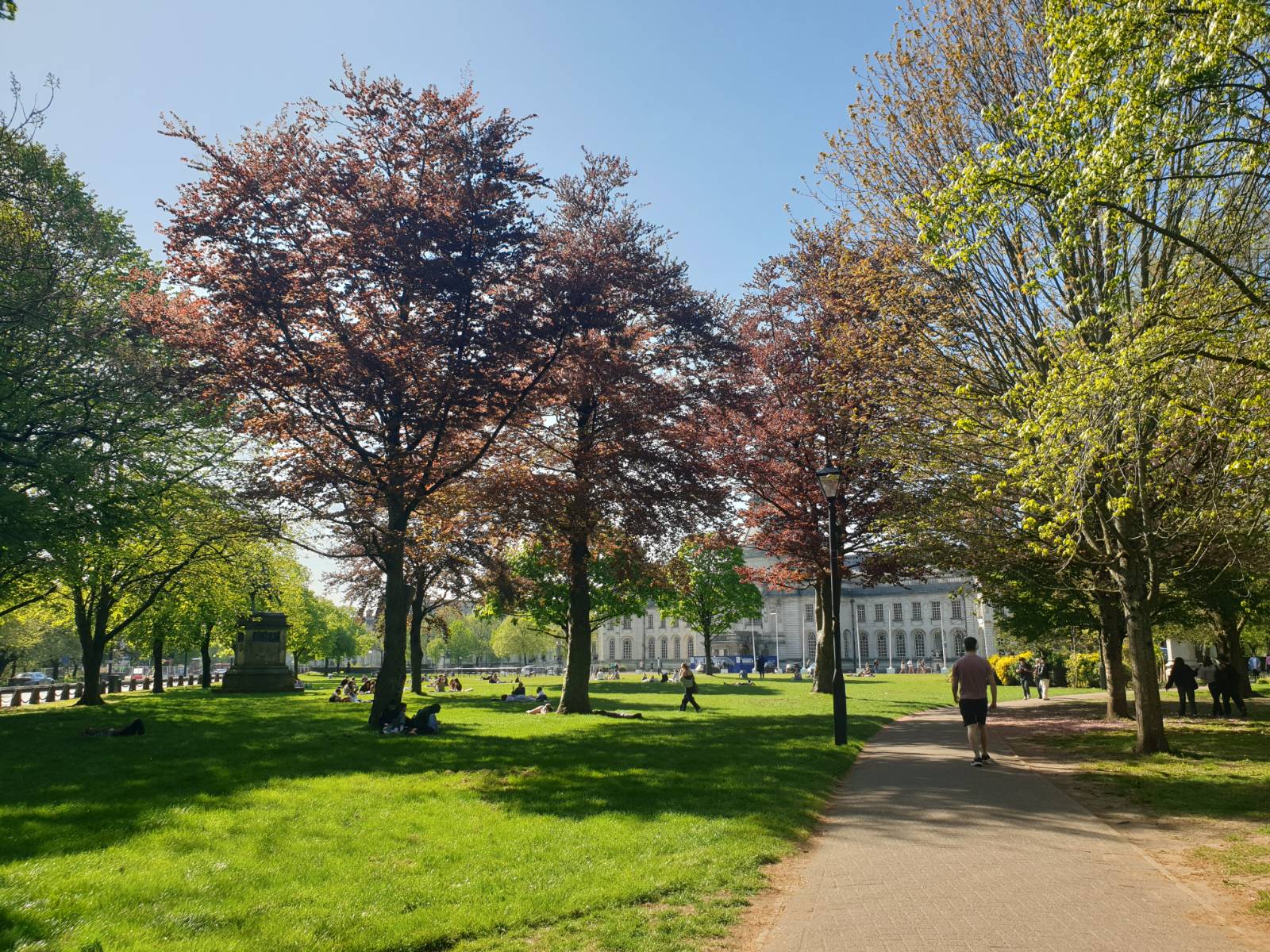 The park outside the City Hall and the Museum in Cardiff, in bright spring sunshine - the trees are in bloom and young leaf, and people are dotted around on the grass enjoying the weather.