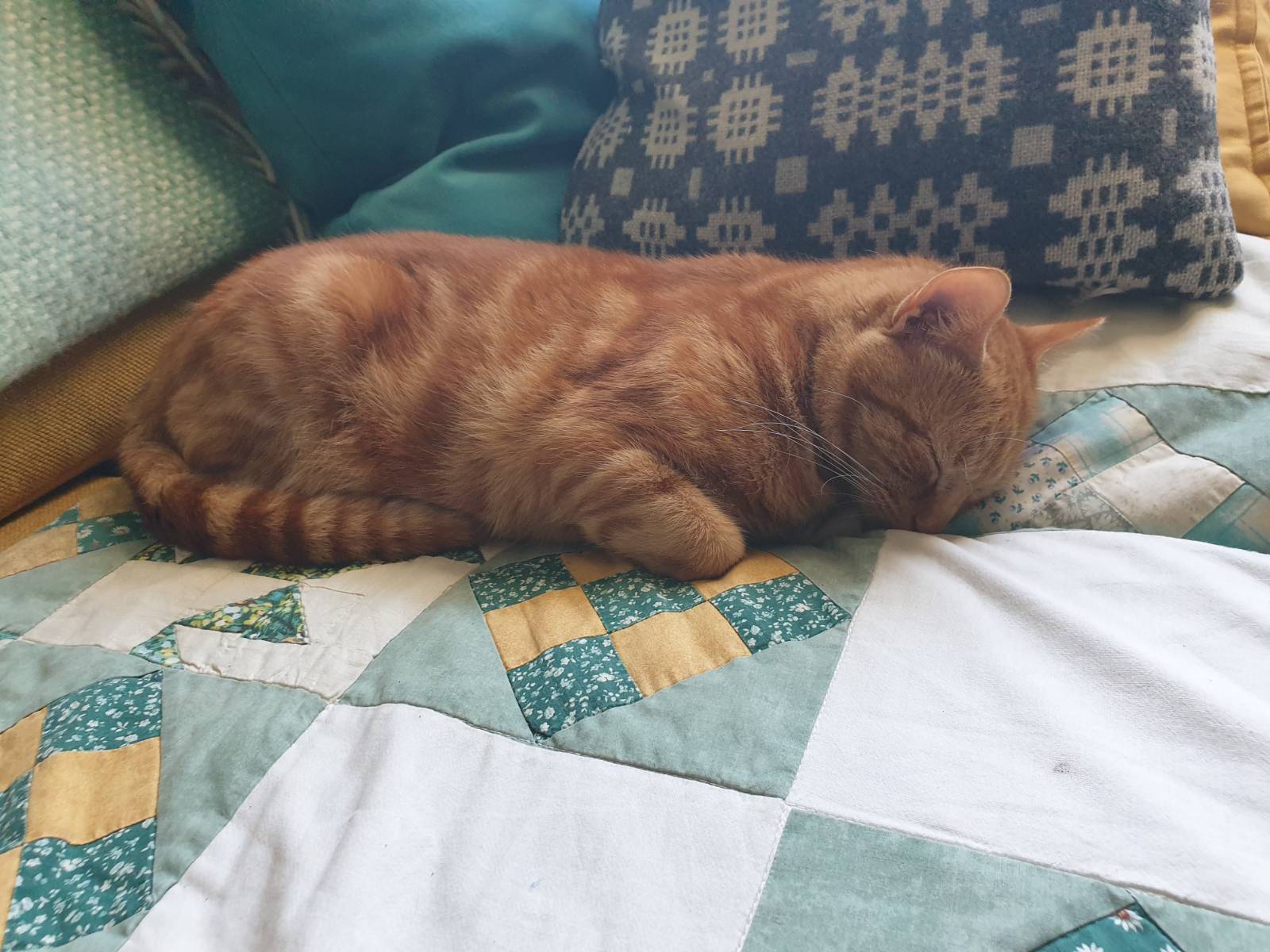 An orange cat napping on a sofa, not completely loafing but not completely stretched out, more like a compact little baguette.
